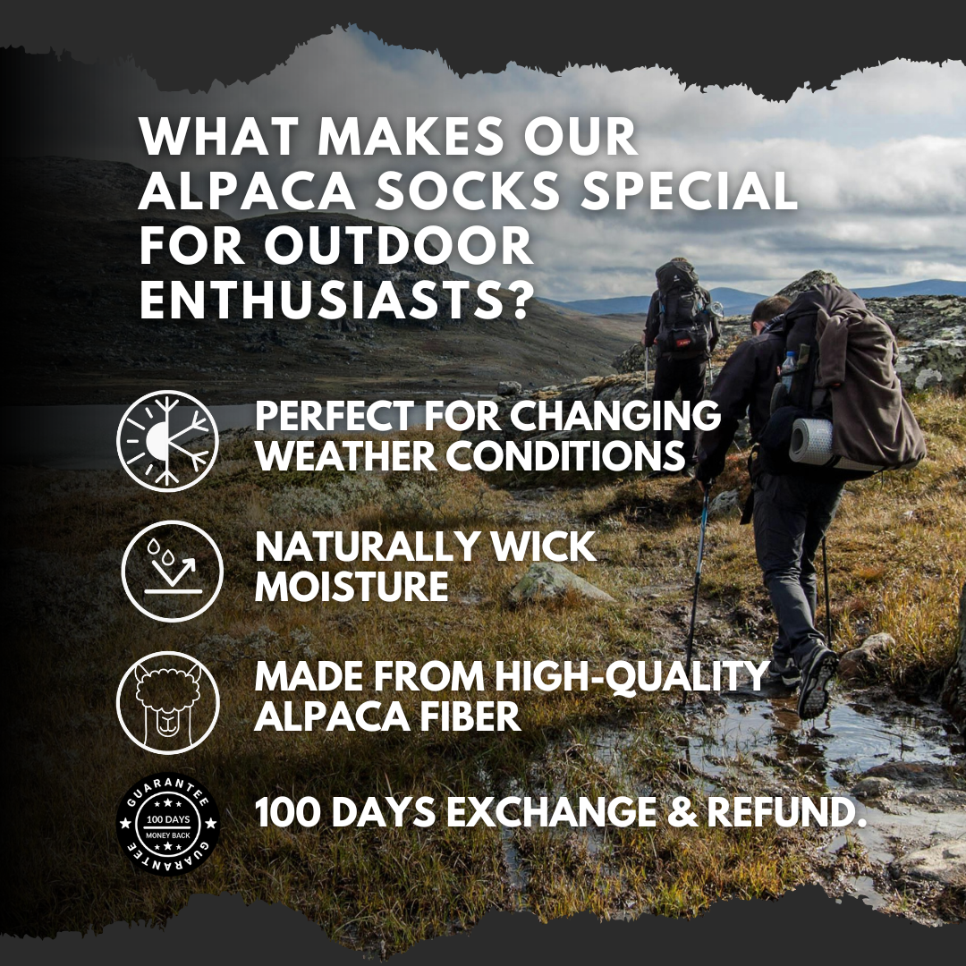 Helle 68 - Alpakkasukat