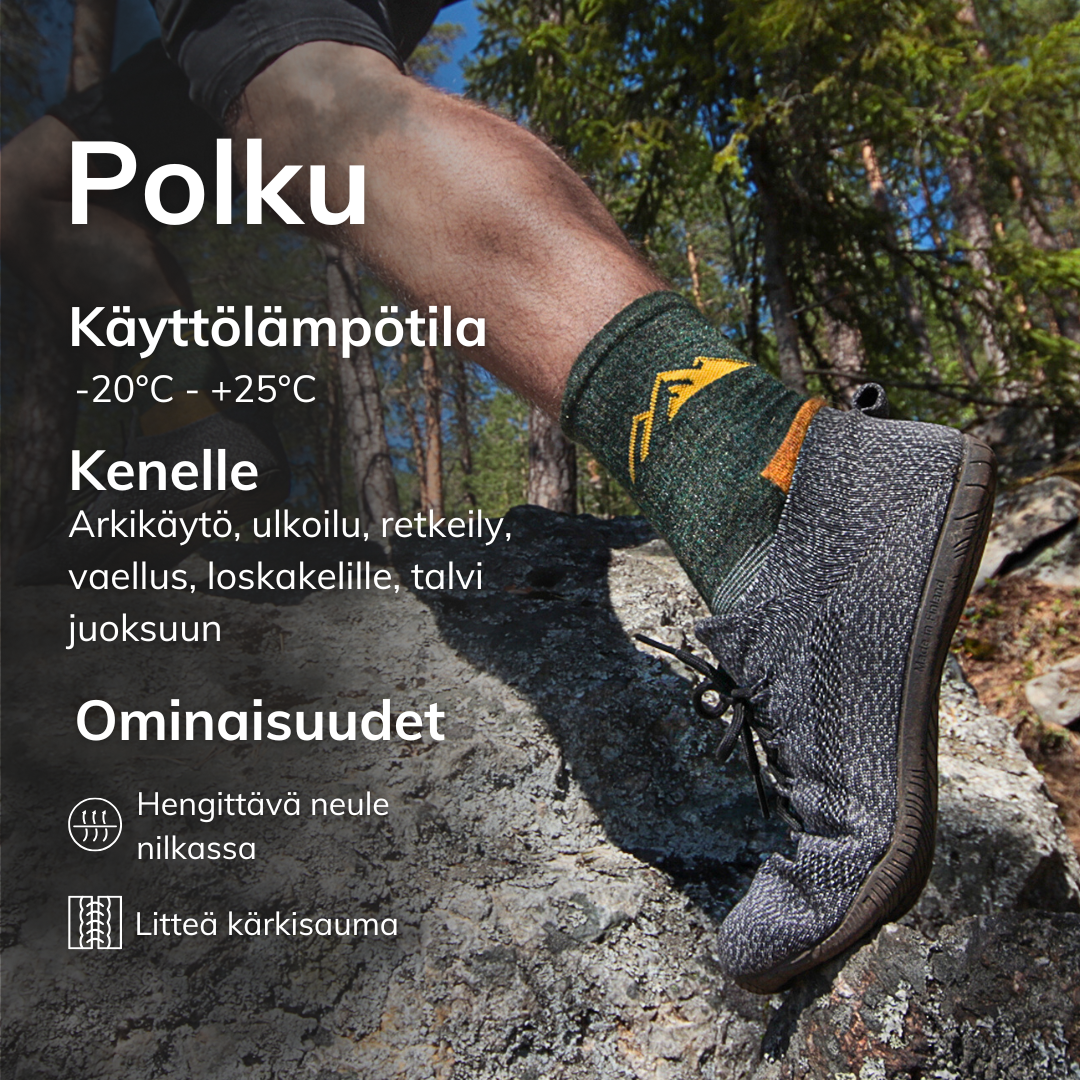 polku_alpakanvilla_vaellussukka_metsanvihrea_keltainen_infografiikka